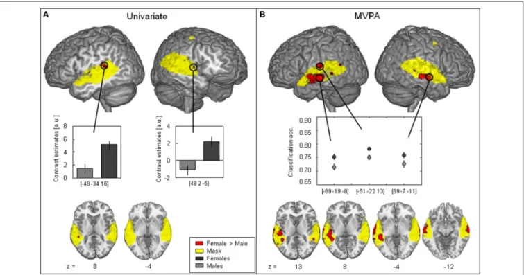 FIGURE 2 | Contrast between female > male (red). (A) Univariate analysis showing significant female > male difference (two-sample t-test,