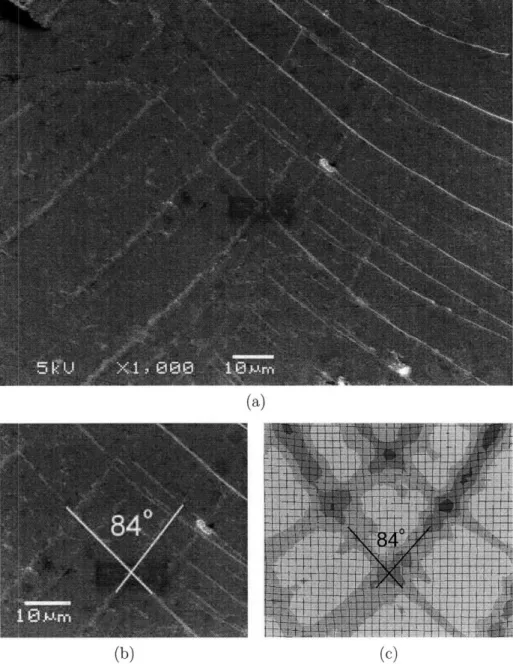 Figure  4-6:  (a)  SEM  image  of  intersecting  shear  bands  under  the  indenter;  (b)  the angle between  two intersecting  shear  bands is  a  840;  (c)  contour  plot  of the equivalent plastic  strain  from  the numerical  simulation  gives  essenti