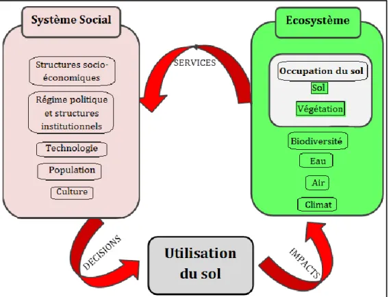 Figure 02 : Cadre conceptuel de la dynamique de l’occupation et de l’utilisation du sol 