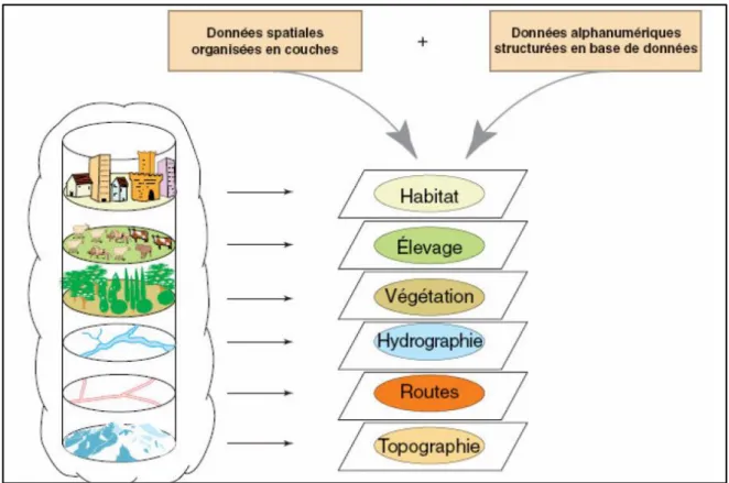 Figure 09 : Structures de données dans un SIG  II.2.2. Composantes d’un SIG 