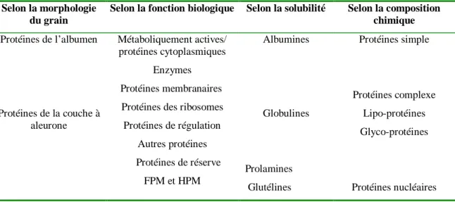 Tableau 6 : Les différentes classifications des protéines. 