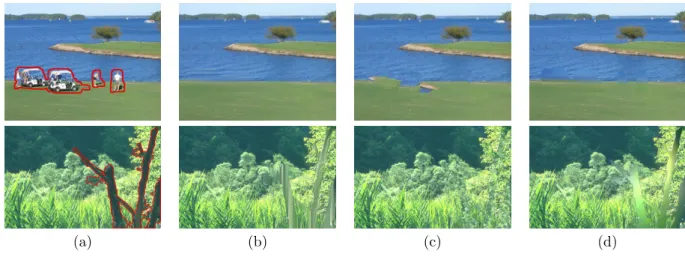 Figure 6: (a) Zoom on the exemplar-based inpainting result of image (c) in the second row of Fig