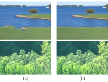Figure 7: Exemplar-based inpainting correction. (a) Result obtained with [8]