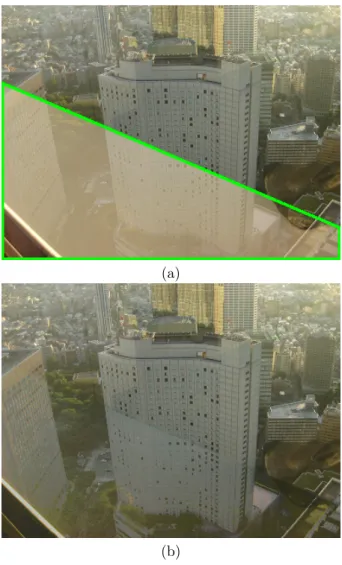 Figure 12: Flash removal. (a) Original image with the mask of highlight pixels to be removed delimited with a green curve