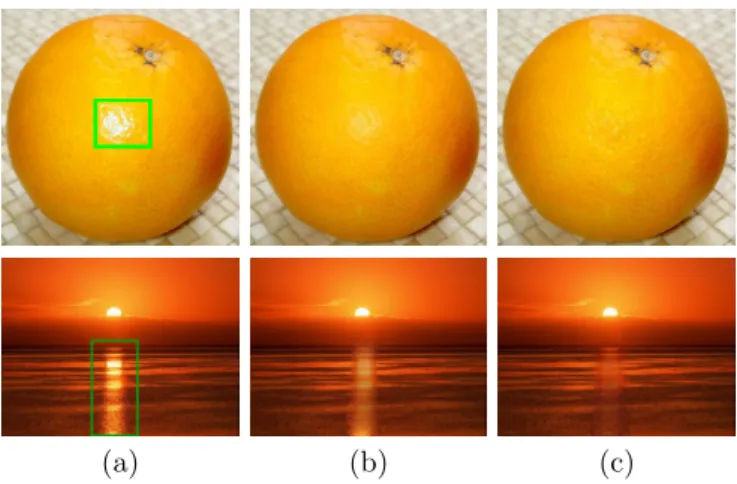 Figure 13: Highlight removal. (a) Original image with the mask of highlight pixels to be removed delimited with a green curve