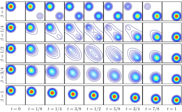 Fig. 6.4. Display of the level sets of f (`) (·, t) for several value of t and β (note that for t = 0 and t = 1, this corresponds to f 0 and f 1 ).