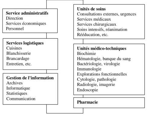 Figure 4 : Structure d’un hôpital [113] 