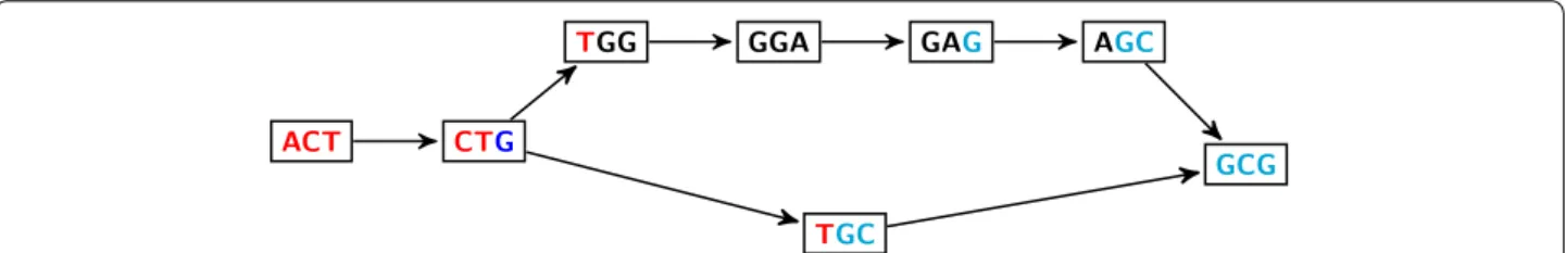 Figure 1  Bubble in DBG. DBG with  k = 3  for the sequences: ACTGGAGCG ( awb ) and ACTGCG ( ab )