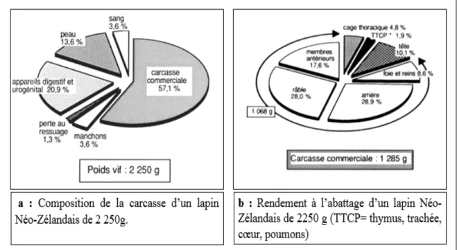 Figure 10 : poids de la carcasse et rendement à l’abattage du lapin   (Ouhayoun, 1989)