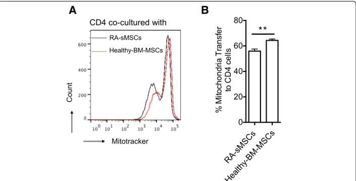 Fig. 6 Mitochondrial transfer from RA-sMSCs to CD4 + T cells is less efficient than that from BM-MSCs
