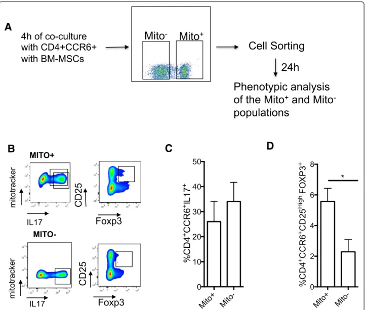Fig. 3 Mitochondrial transfer from BM-MSCs significantly increases the generation of Treg cells
