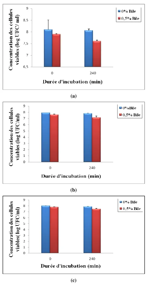 Figure 7 : Résistance des ferments commerciaux, utilisés en Algérie pour la fabrication de  yaourts probiotiques, aux sels biliaires (0,5%) pendant 240 min d’incubation à 37 o C : (a) LA-5, 