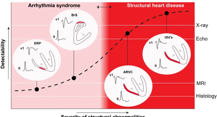 Figure 4. The definition of structural heart disease is based on the ability to detect structural abnormalities