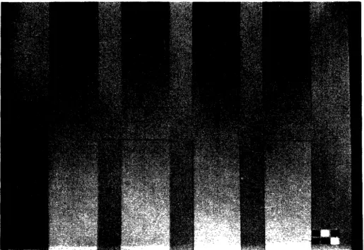 Figure  2.3:  Examples  of complete  stimuli.