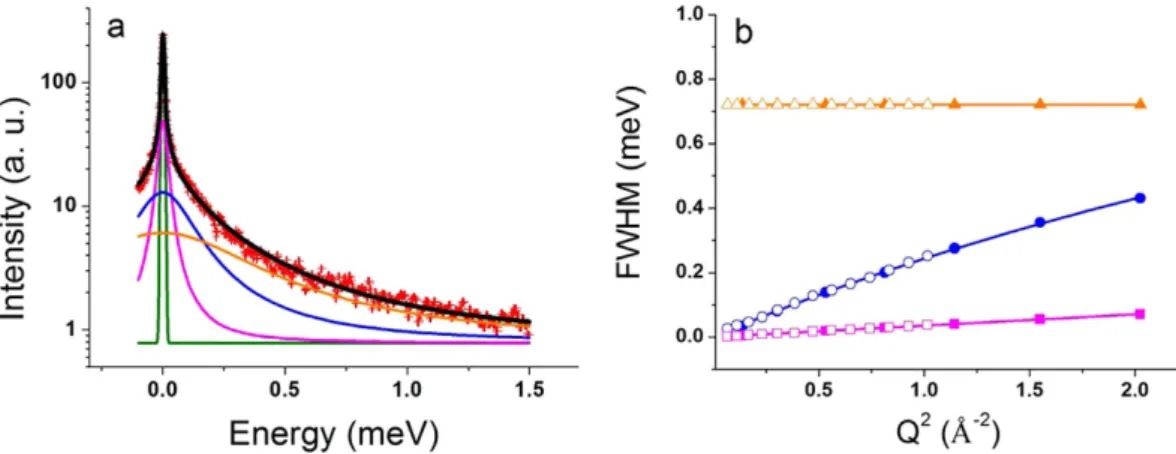 Fig. 2b) showed a translational motion for this population with the diffusion coefficient of D T  =  0.11*10 −5  cm 2 /s