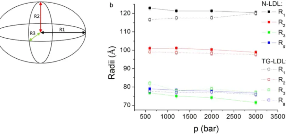 Figure 6.  Schematic representation of the fitted ellipsoidal model with the three axes R 1 , R 2  and R 3  (a)