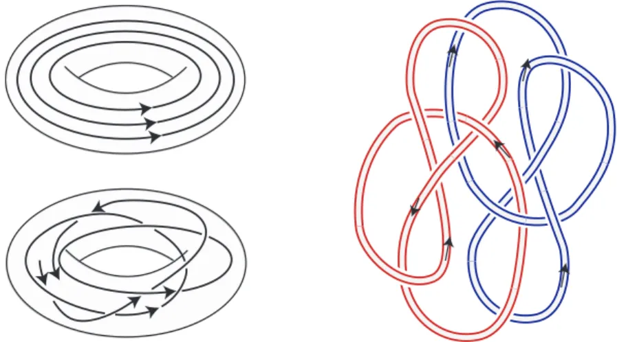 Figure 7. On the left, two vector fields supported on the unlink and both transverse to the canonical meridian discs