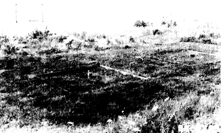 Figure 3  Thornthwaite site at Norman Wells, N.Y.T. 