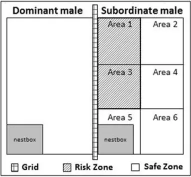 Figure 2: Schematic representation of cages 