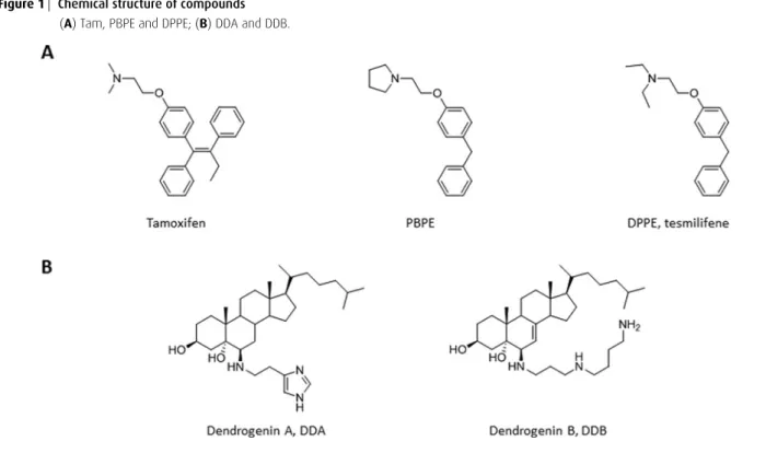 Figure 1 Chemical structure of compounds (A) Tam, PBPE and DPPE; (B) DDA and DDB.