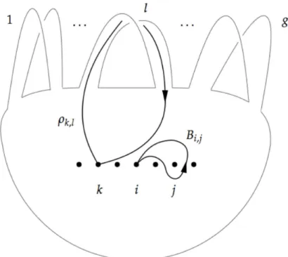 Figure 1: The generators B i, j and ρ k,l of P n p M q , represented geometrically by loops lying in M minus a disc.