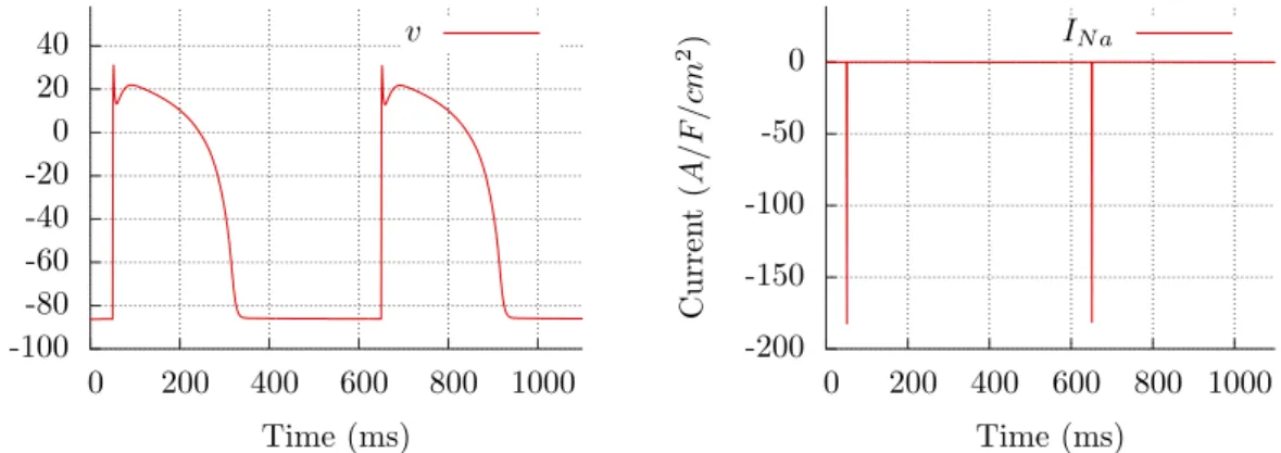 Figure 5: Two consecutive action potentials for the TNNP model: transmem- transmem-brane potential v (left) and the fast sodium current I Na (right), that is the main component of I ion during the fast upstroke of the action potential.