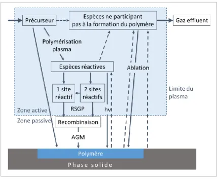 Figure 13 : Schéma de principe de la phénoménologie impliquée dans la croissance du film polymère  plasma