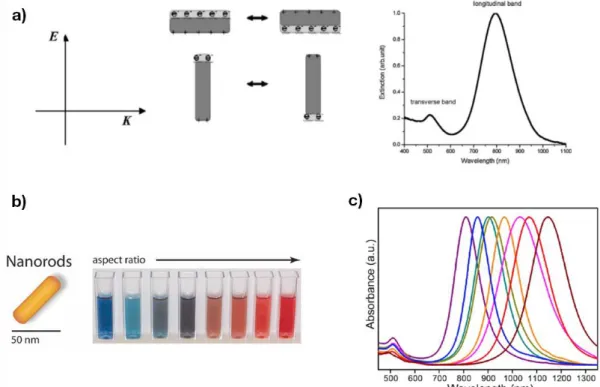 Figure 28. Schematic representation of the interaction of polarised electromagnetic radiation with noble metal (gold)  nanorods