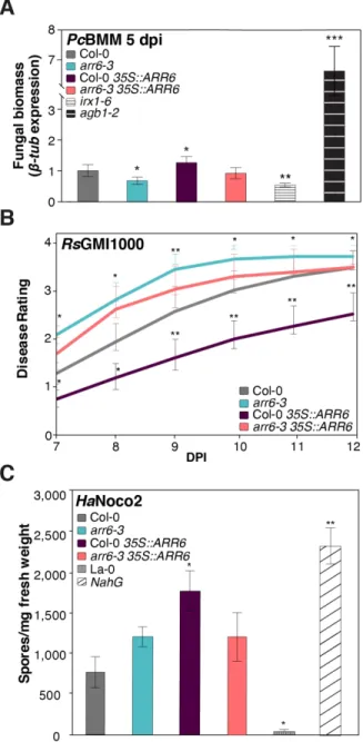 Fig. 1. Mutants and overexpression ARR6 lines display altered resistance to pathogens