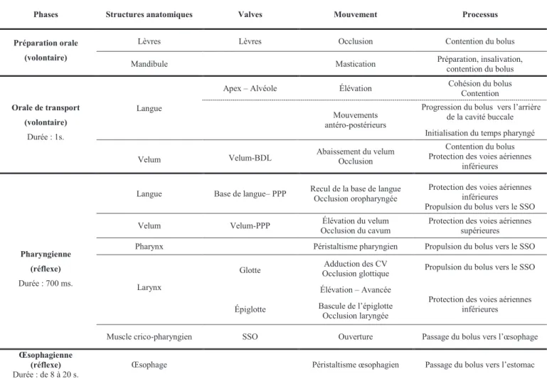 Tableau 1 a. Processus de déglutition décrit de l’avant de la cavité buccale à l’arrière, du haut vers le bas