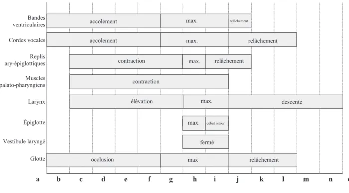 Tableau 5  Représentation schématique temporelle du processus de déglutition image par image (b–n, a et o : positions de                         repos) visible en séquence coronale chez un volontaire sain  (N°11 images 41 à 55 série 10)