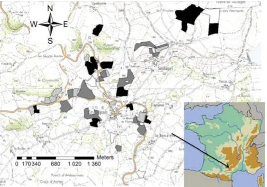 Figure A2. Maps of vegetation diversity for two farms located in the same district. The four colours correspond to different percentages of GFT having an acquisitive growth strategy: w30% (white), 30–50 (light grey), 50–70(dark grey), &gt;70% (black); the 