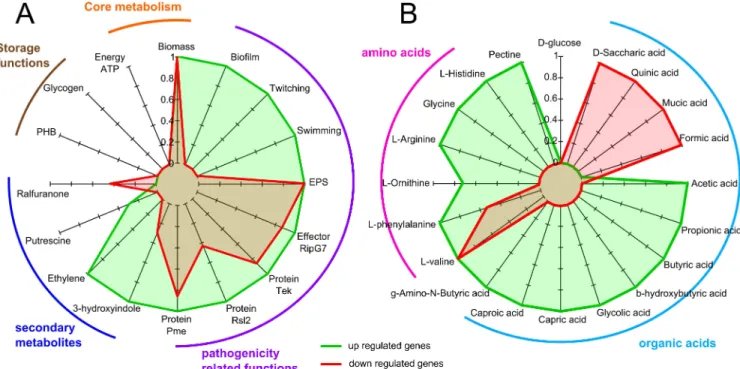 Fig 2. Predictions of phenotypes and catabolic pathways affected by EfpR-dependent DEGs (EfpR-DEGs) using flux balance analysis.