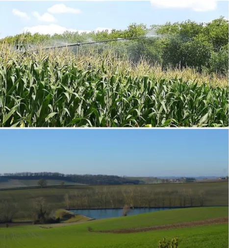 Fig. 1 Irrigation under temperate climate (here, in Southwestern France). Cropping systems requiring high water inputs, such as maize monocrops, and  water-storage infrastructure symbolize