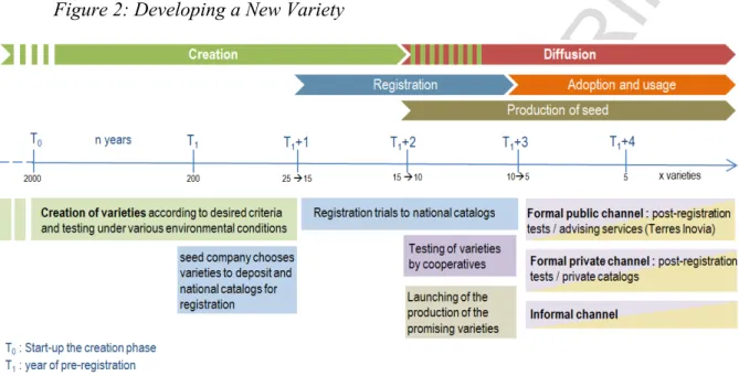 Figure 2: Developing a New Variety 