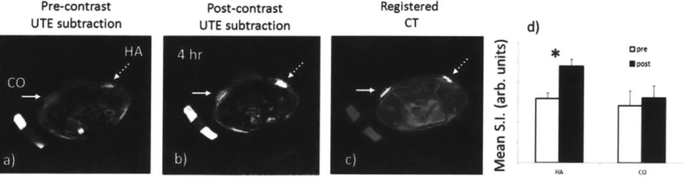 Figure 3.2  - In-vivo  uptake to  hydroxyapatite  and calcium  oxalate  slurry  implants