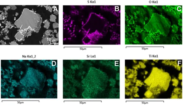 Fig. 3. EDX chemical maps of the Ba-titanate sorbent after contact with seawater: (A) the corresponding scanning  electron micrograph and maps obtained with (B) S Kα1, (C) O Kα1, (D) Na Kα12, (E) Sr Lα1 and (F) Ti Kα1 radiation
