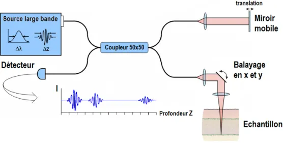 Figure 1-8  Principe de la tomographie par cohérence optique dans le domaine temporel (TD-OCT)