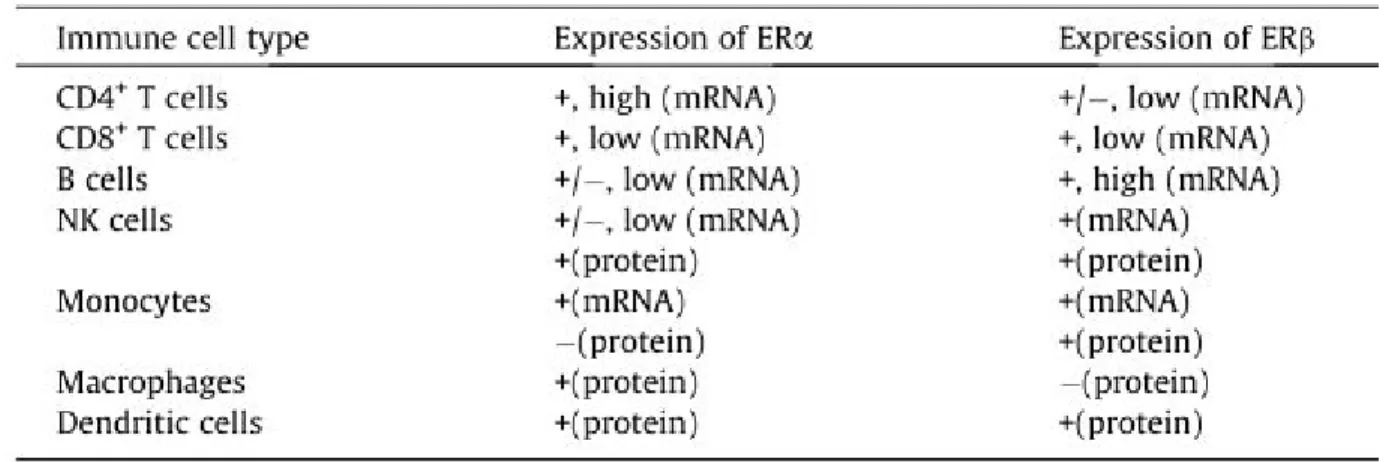 Tableau 5 : Expression des ERα et ERβ dans les différents types cellulaires du système  immunitaire