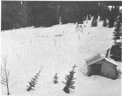 Figure  7 0bsenratory  Rogers  Pass  Summit, wlth  test  p1ot,  instmment  stand anil  shelter,  18  April  1958.