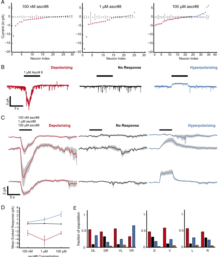 Fig. 2. CEM shows three modes of responses to ascr#8. (A) Mean-evoked current responses of neurons to 100 nM, 1 μ M, and 100 μ M concentrations of ascr#8 (columns)