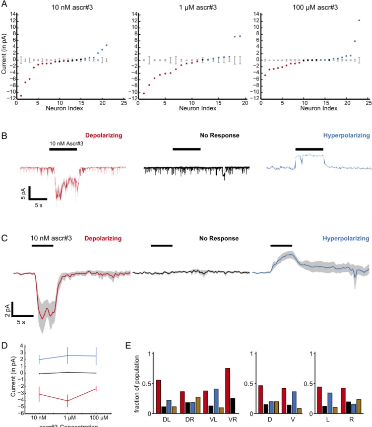Fig. 3. CEM also shows three modes of responses to ascr#3. (A) Mean evoked current responses of neurons to 10 nM, 1 μM, and 100 μM concentrations of ascr#3 (columns)