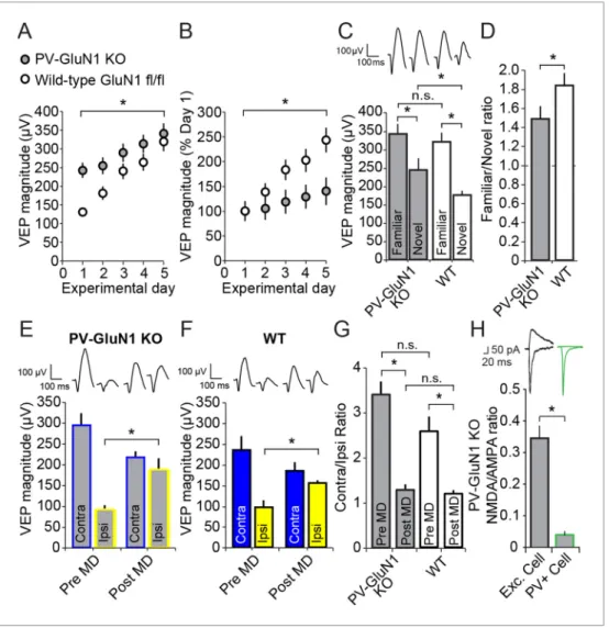 Figure 6. Loss of NMDA receptors selectively from parvalbumin+ cells impacts SRP but not adult OD plasticity