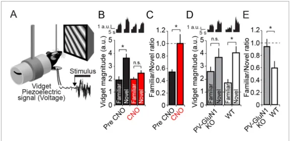 Figure supplement 1. Cumulative distributions of average vidget behavioral response to familiar and novel stimuli for each individual animal included in analysis presented in Figure 8D and Figure 8E.