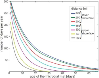 Figure  9.  Frequency  distribution  of  the  age  of  microbial  mats.  The  ages  were  computed  using  a  simple  model  for  microbial  mat  growth  and  destruction  at  different  locations  along  the  modeled  shore profile (see Figure 7)