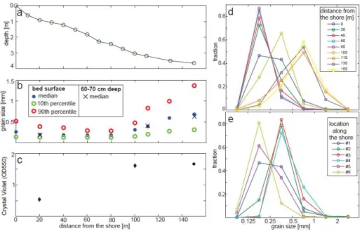 Figure 2. Bed and sediment characteristics in Pigeon Cay. (a) Detail of the bed profile close to the  shore