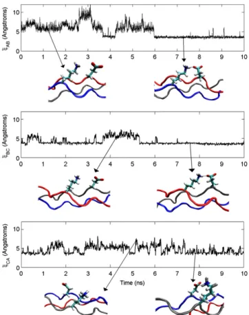 FIGURE 1 Dynamical time series data for the GPKGEO peptide. Snap- Snap-shots from the various states are shown below the time series for each  inter-chain interaction.