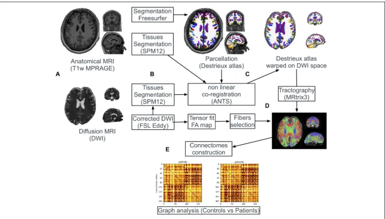 FIGURE 1 | Pipeline of image processing and graph analysis. T1w and diffusion MRI sequences were acquired from all patients and controls (A)