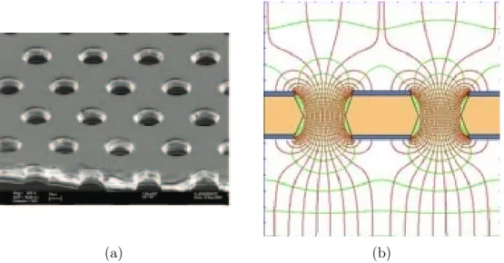 Figure 3-11: GEM foils. (a) Microscope image of the surface of a single GEM foil, a perforated insulator with metal layered onto each side