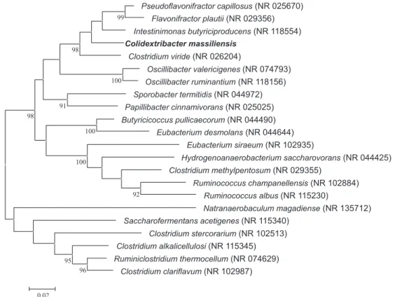 FIG. 1. Phylogenetic tree showing position of ‘ Colidextribacter massiliensis ’ strain Marseille-P3083 T relative to other phylogenetically close neighbours.